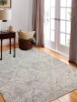 Bashian Amalfi A160-PRS105 Grey Area Rug For Cheap