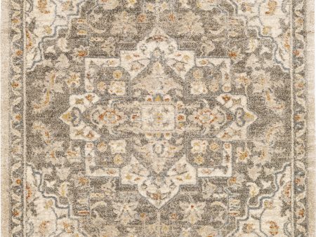 Surya Tuscany TUS-2308 Area Rug Online now