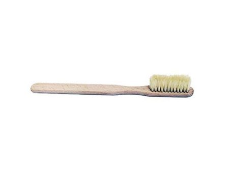 Blister Brush 1 Each by Intrepid International Online Hot Sale