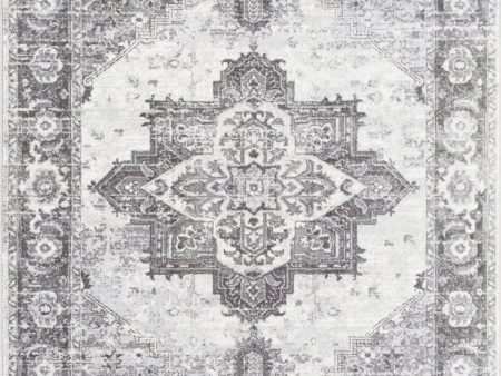 Surya Wanderlust WNL-2321 Area Rug Online now