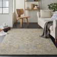 Azura AZM03 Taupe Blue Area Rug by Nourison Sale