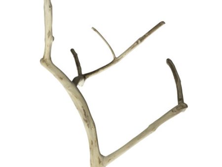 Medium Multi-Branch 22” X 1.6” 1 Each by A&E Cage Company Sale