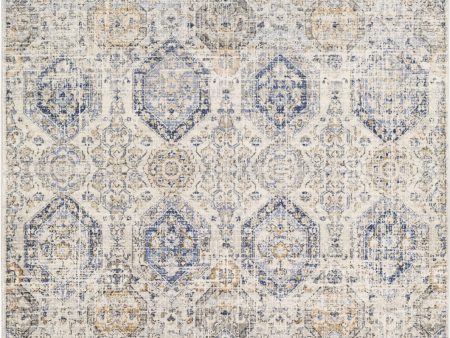 Livabliss Indigo IGO-2308 Area Rug Online Sale