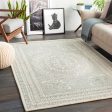 Livabliss Newcastle NCS-2306 Area Rug For Discount