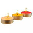 10 PCS Tealight Candle Red Hot on Sale