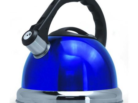 Whistling Water Kettle Stainless Steel  3.5L Blue For Discount