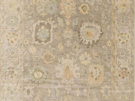 Loloi Indo Transitional Wool One of a Kind Beige Area Rug Cheap