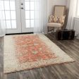 Rizzy Ovation OVA103 Red Beige Area Rug For Sale