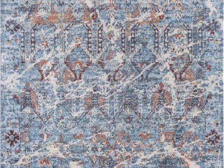 Rizzy Ovation OVA105 Blue Beige Area Rug Online Sale